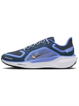 Кроссовки Nike Air Zoom Pegasus 41 Gore-Tex Cobalt 60960756 - фото 6847447