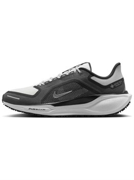 Nike Air Zoom Pegasus 41 Gore-Tex Black Anthracite Iron Grey 60943127 - фото 8381654