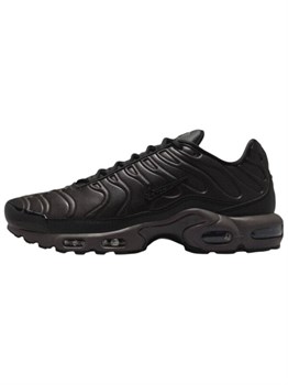 Кроссовки Nike Air Max Plus Premium Paris 60647123 - фото 8387947