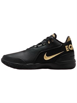 Кроссовки Nike Zoom LeBron NXXT Gen AMPD Equity 60673105 - фото 8400606