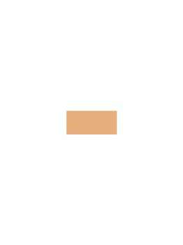 Refill Compact Matte Makeup SPF 15 Le Teint Ultra ( Ultra wear Flawless Compact Foundation) 13 g 46981423 - фото 8631559