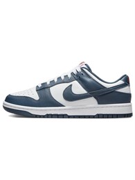 Кроссовки Nike Dunk Low Valerian Blue 59889611