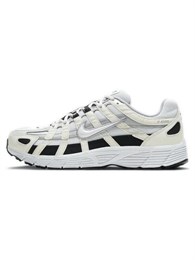 Кроссовки Nike P 6000 Sail Wolf Grey 59975989