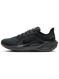 Кроссовки Nike Pegasus 41 Gore Tex 'Black Anthracite' 60961577