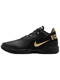 Кроссовки Nike Zoom LeBron NXXT Gen AMPD Equity 60673105