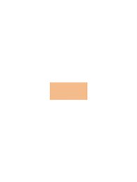 Refill Compact Matte Makeup SPF 15 Le Teint Ultra ( Ultra wear Flawless Compact Foundation) 13 g 46981423
