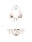 Zimmermann Halliday Crochet trim Bikini 64592344 - фото 6851638